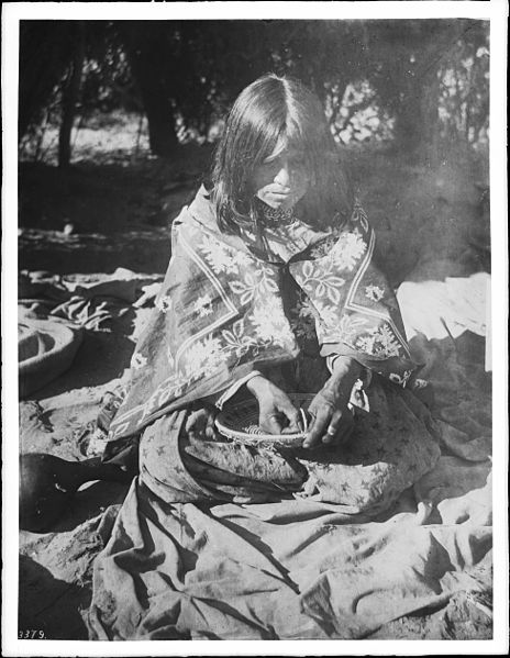 File:Havasupai Indian woman, Ta-vu-su-ja, making a "Kun" basket, ca.1900 (CHS-3379).jpg