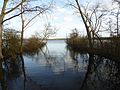 Hergnies Pond of Amaury (1) .JPG