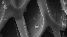 Scanning electron image of biochar shows detailed morphology High magnification view of Pine Biochar.jpg