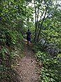 Hiking to the dam on June 5, 2016. (27520412180).jpg