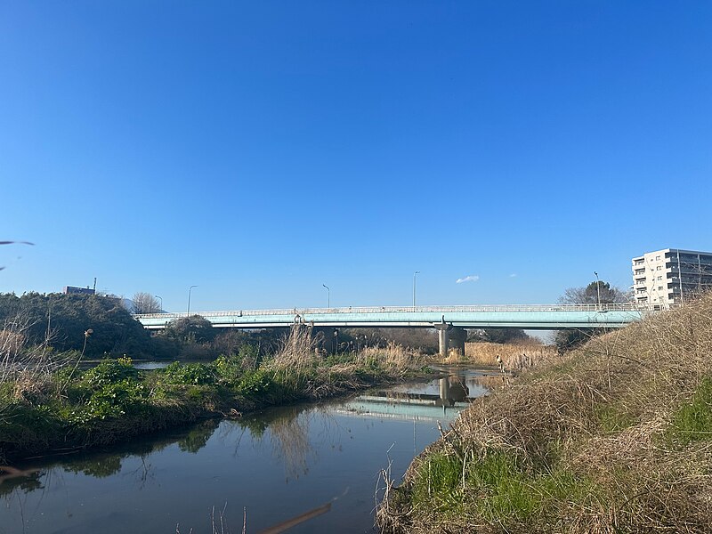 File:Hiratsuka Ohashi - Kanagawa - 2024 March 4.jpeg