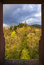 Hirschhorn (Neckar) - Burg Hirschhorn - Bergfried - Blick auf FFH-Wald mit Gewitterlicht 2.jpg