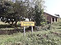 Humedal de Mabamba (Uganda) - zona junto al embarcadero 20190915 095827.jpg