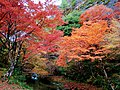 2021年11月10日 (水) 02:17時点における版のサムネイル