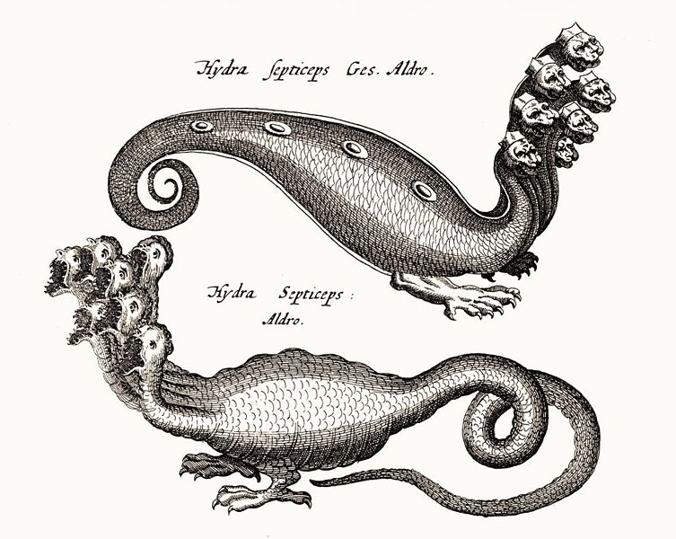 File:Hydra (creature).jpg