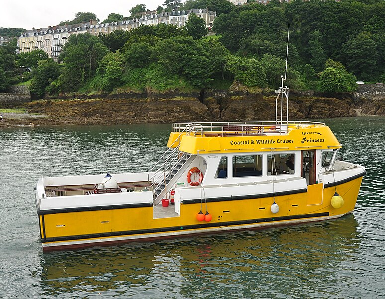 File:Ilfracombe Princess.jpg