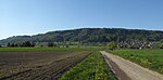 Immenberg (Thurgau)