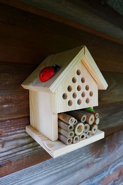 Insect House (8754960520).jpg