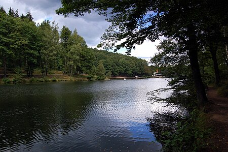 Itzenplitzer Weiher 2 DSC 0102 1