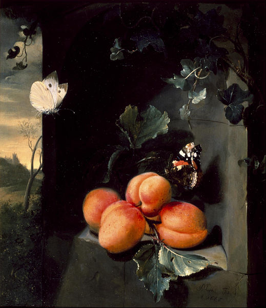 File:Jan Mortel - Still Life with Apricotes and Butterflies - Google Art Project.jpg