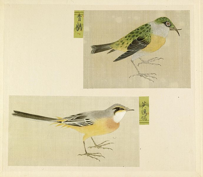 File:Japanese - Leaf from Album Depicting Small Birds - Walters 3517215.jpg