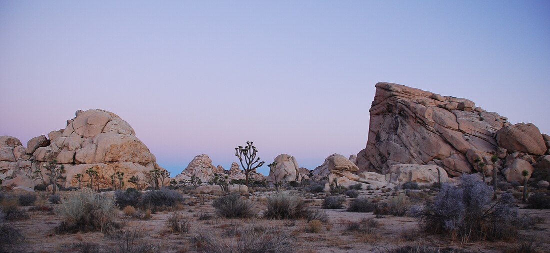 File:Joshua Tree - Cyclops + Potato Head - Sunrise.jpg