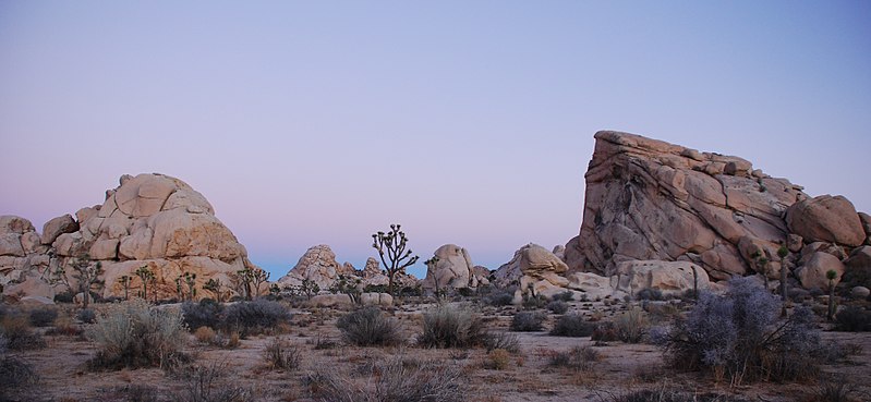 File:Joshua Tree - Cyclops + Potato Head - Sunrise.jpg