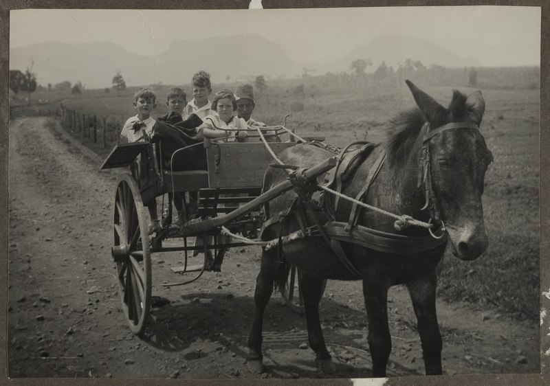 File:KITLV A538 - De Friesche Terp, melkveeboerderij te Pengalengan, opgericht door veearts B. Vrijburg, KITLV 50670.tiff