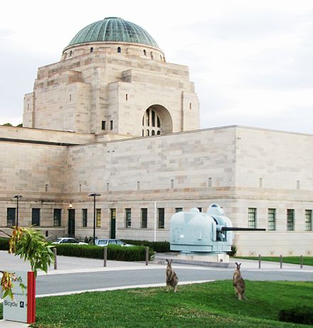 Curious kangaroos exploring the Australian War Memorial.