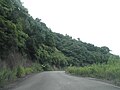 生名鷲ヶ尾 徳島県道283号和食勝浦線 (3)