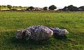 Stones in the Early Bronze Age Kingston Russell stone circle. [5]