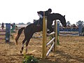 Style fault: poor foreleg technique