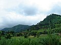 Landschaft i da Gnejchtn vo Kpalimé