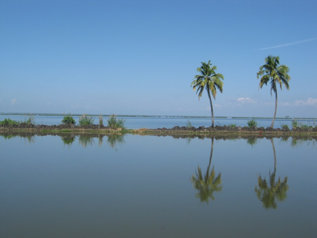 കുട്ടനാട്‌