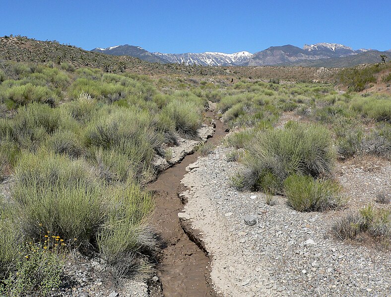 File:Kyle Canyon stream 3.jpg