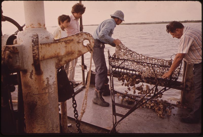 File:LAKE BORGNE OYSTERMEN CLAIM RELEASE OF MISSISSIPPI RIVER FLOOD WATERS HAS POLLUTED THEIR OYSTER BEDS. SOME OF THE MEN... - NARA - 552881.jpg