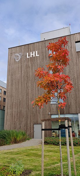 File:LHL-sykehuset Gardermoen (10).jpg