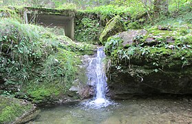 Petite cascade.