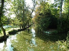 La Seugne s'écoule paisiblement au pied de la colline Montguimar, formant un cadre bucolique.