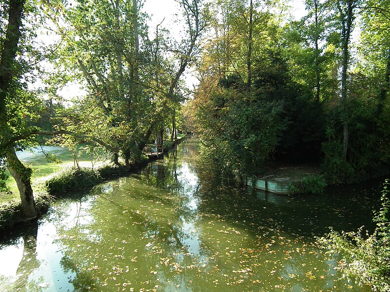 File:La Seugne à Jonzac.jpg