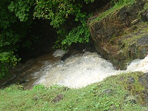 A Salto en el lago soberanía