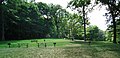 Lake Hopatcong State Park NJ picnic area.jpg