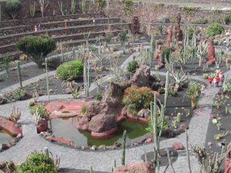 Jardin de cactus à Lanzarote aux îles Canaries. (définition réelle 800 × 600*)