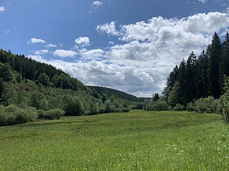 Lewertbach mit Nebenbächen (16)