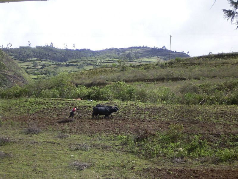 File:Leymebamba-chachapoyas-amazonas-peru.jpg