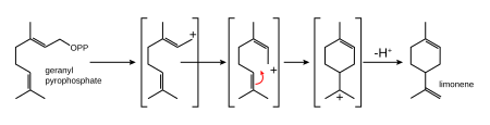 Biosynthèse de limonène de géranyl-pyrophosphate