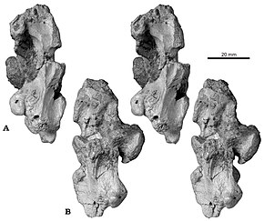 Descrizione dell'immagine Lirainosaurus.jpg.