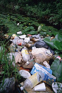 Plastic pollution residing in wetland Litter pollution in wetland area.jpg