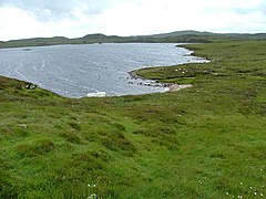 Loch Laxavat Ard - geograph.org.uk - 199995.jpg