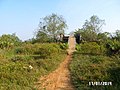 Long Hưng, Long Thành, Đồng Nai, Vietnam - panoramio (16).jpg