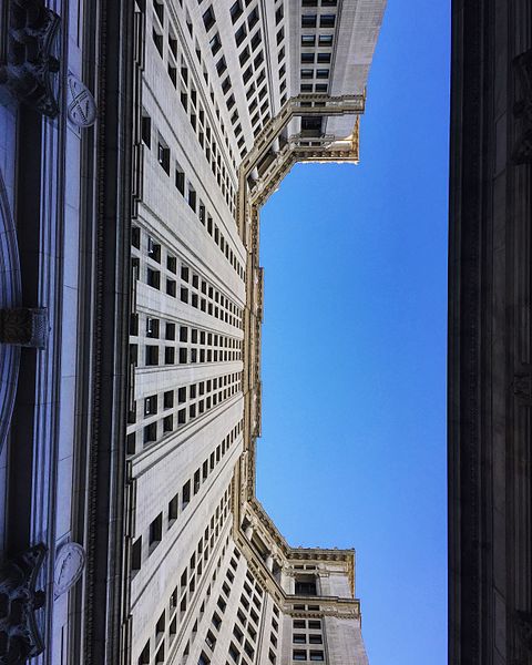 File:Looking Up!.jpg