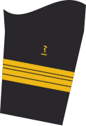 Sleeve badge of the jacket of the service suit for navy uniform wearers (human medicine).