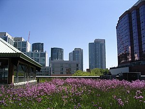 Green Roof