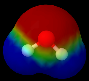 Rot bedeutet negativ polarisiert, blau positiv polarisiert.