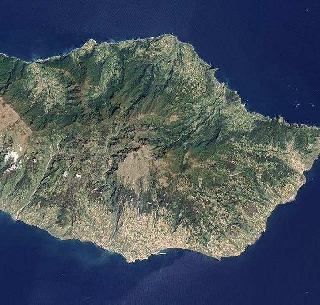 File:Madeira's Laurissilva Forest.jpg
