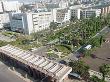 Mansoura University.jpg