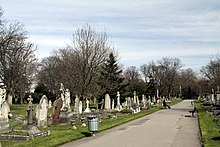 Central pathway through the cemetery Margravine Cemetery in London, spring 2013 (13).JPG