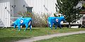 Two cows, artist: Martin Wickström, now in Saltsjöbaden, Sweden. Photo: Bengt Oberger