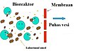 Pisipilt versioonist seisuga 2. detsember 2011, kell 18:36