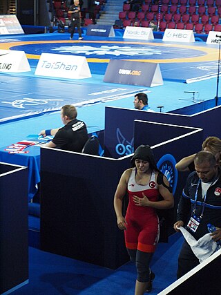 <span class="mw-page-title-main">Merve Karadeniz</span> Turkish freestyle wrestler